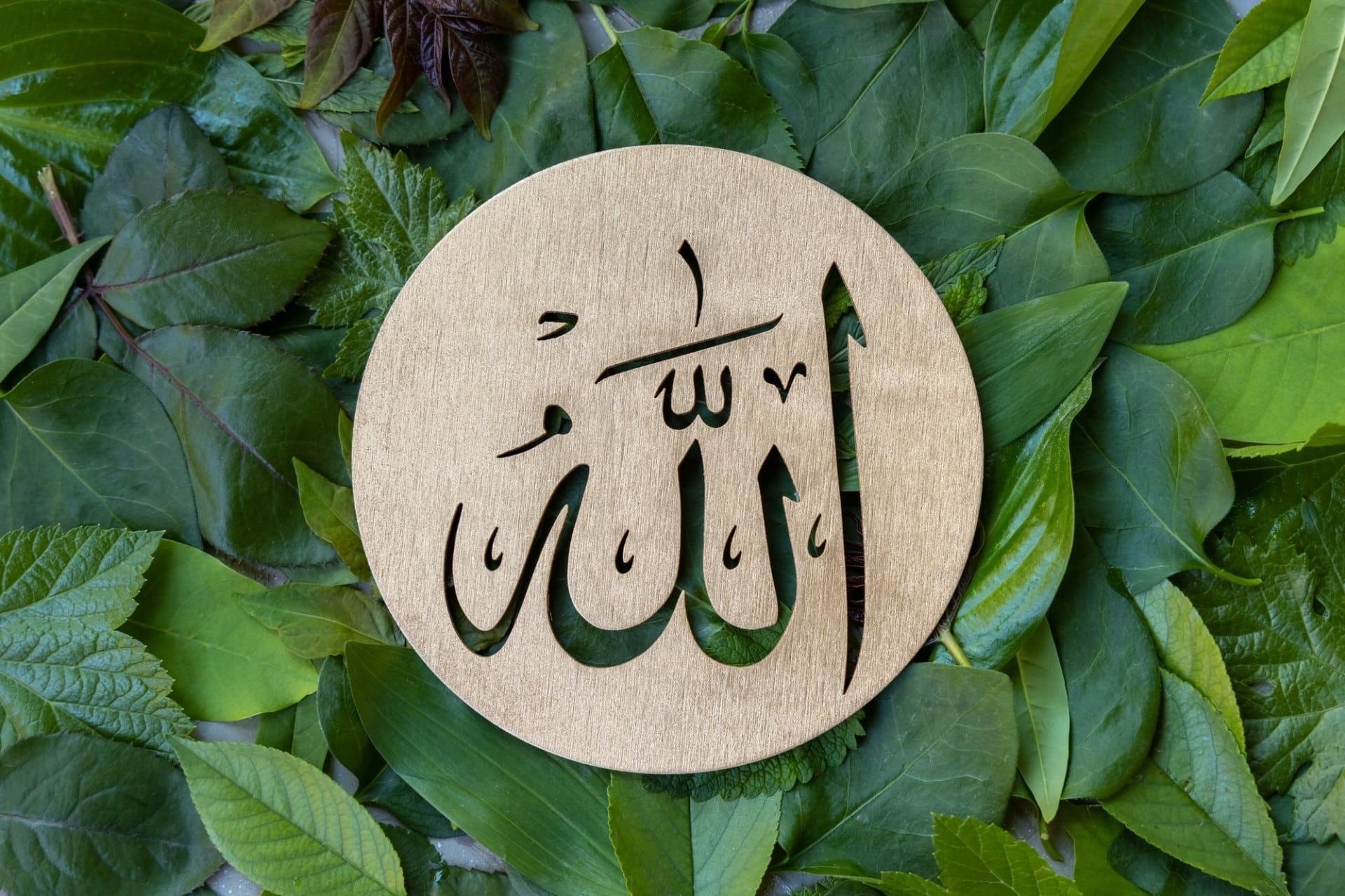 Wallah en Arabe - Que Signifie Vraiment Cette Expression et Comment l’Utiliser avec Crainte - Merkez Al Bourhan
