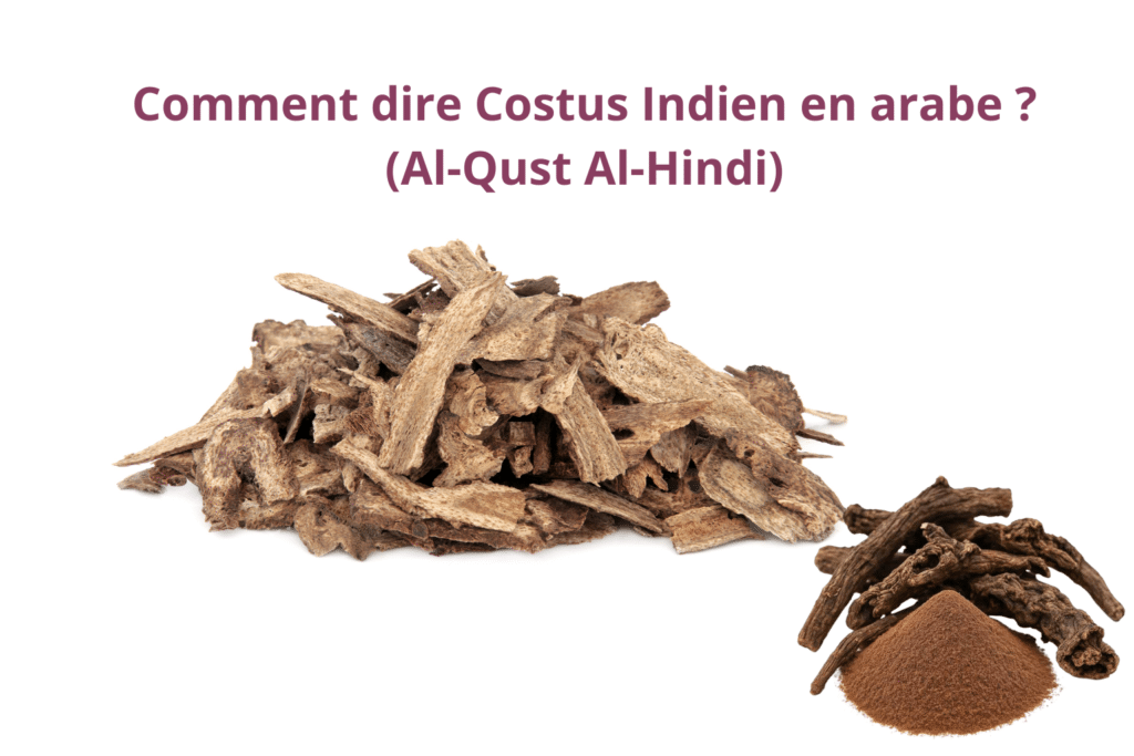 costus indien Qust Al-Hindi